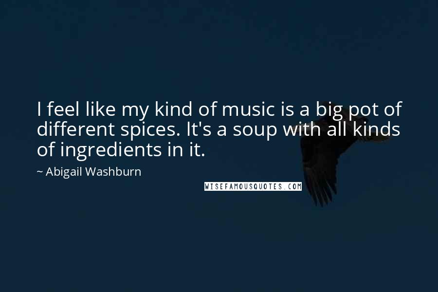 Abigail Washburn quotes: I feel like my kind of music is a big pot of different spices. It's a soup with all kinds of ingredients in it.
