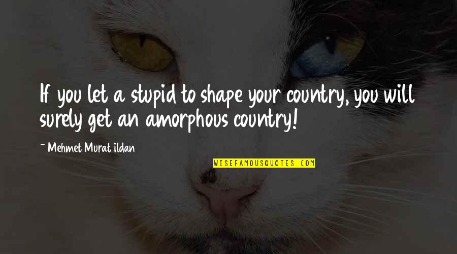 Abigail Williams Accusations Quotes By Mehmet Murat Ildan: If you let a stupid to shape your Abigail Williams Accusations Quotes By Mehmet Murat Ildan: If you let a stupid to shape your
