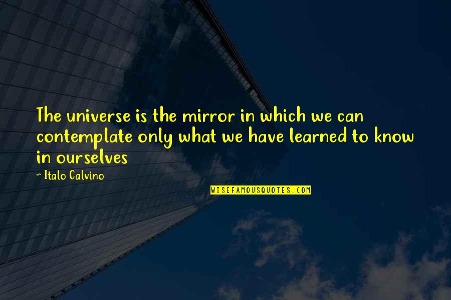 Abigail Williams Quotes By Italo Calvino: The universe is the mirror in which we