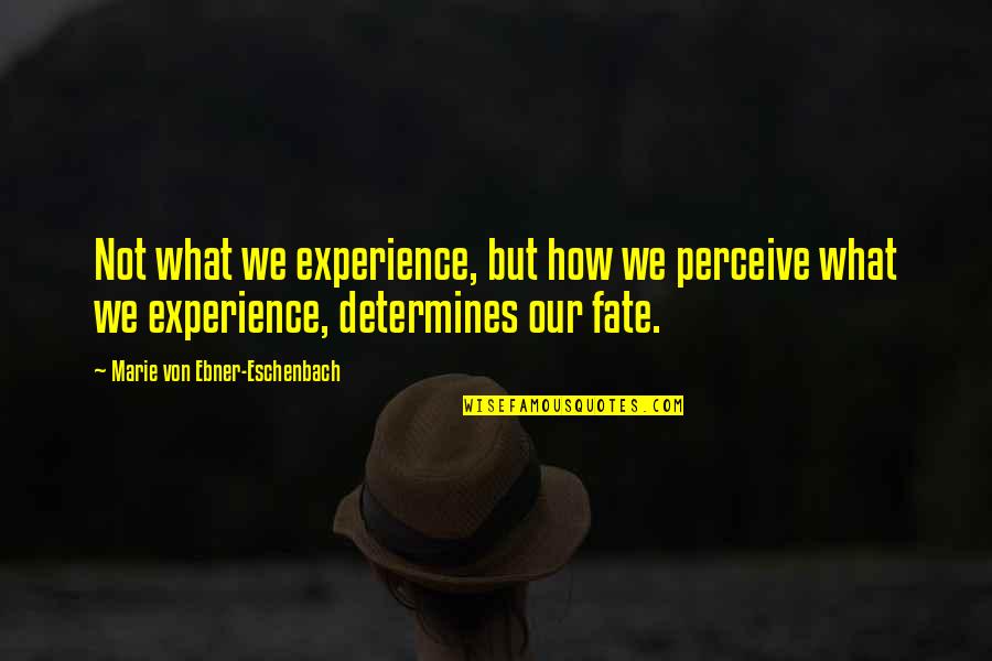Abimelech And David Quotes By Marie Von Ebner-Eschenbach: Not what we experience, but how we perceive