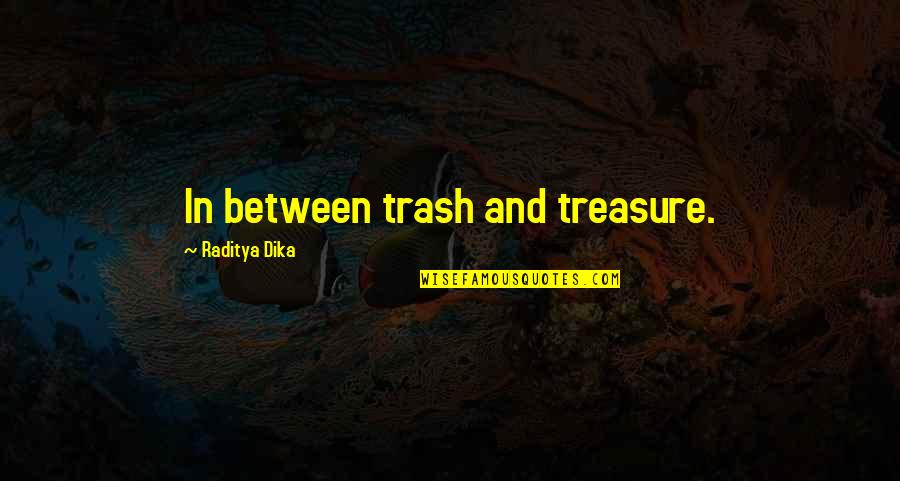 Abinadi Lds Quotes By Raditya Dika: In between trash and treasure.