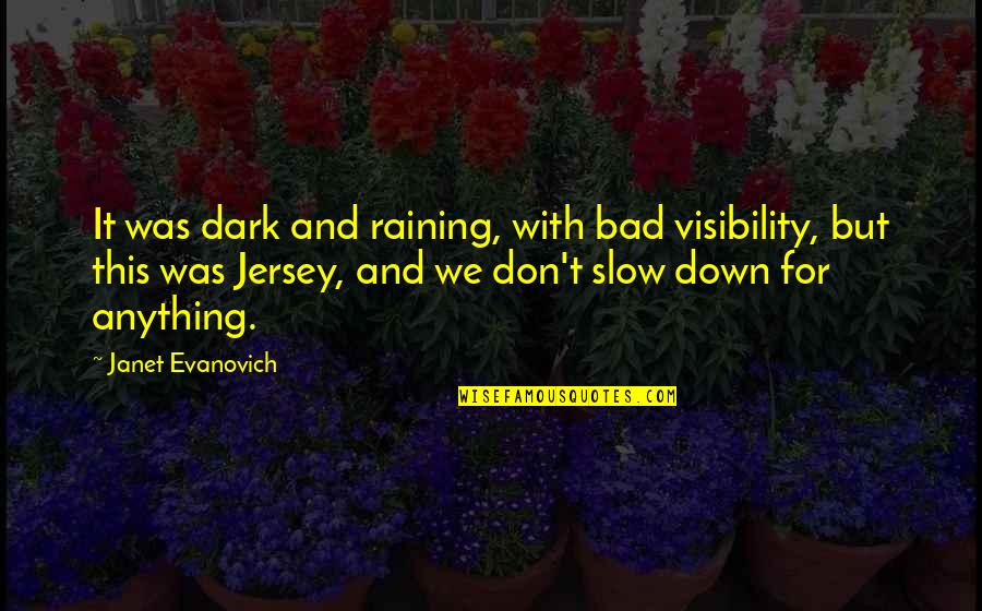 Abishai Quotes By Janet Evanovich: It was dark and raining, with bad visibility, Abishai Quotes By Janet Evanovich: It was dark and raining, with bad visibility,