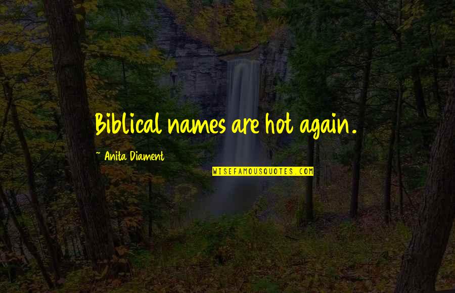 Abitati Do Cavalo Quotes By Anita Diament: Biblical names are hot again.