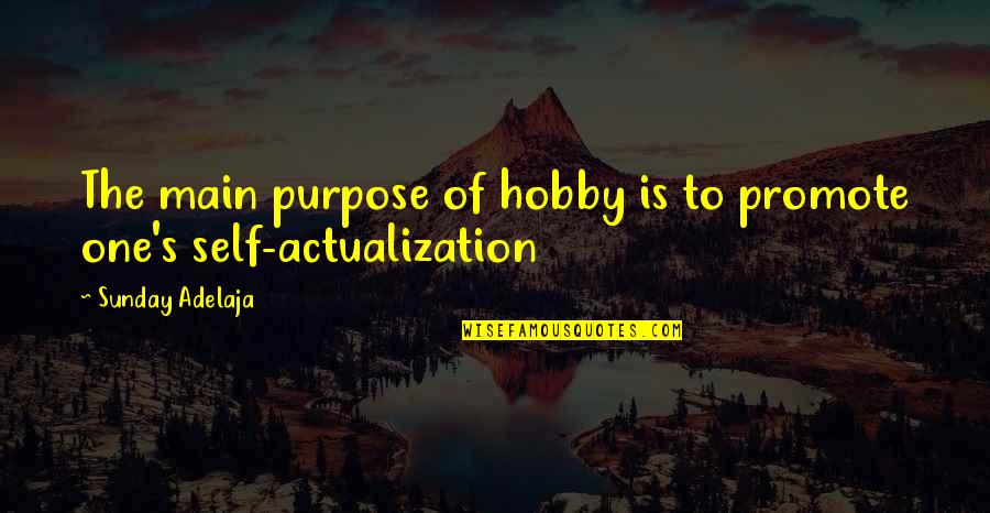 Abitch Quotes By Sunday Adelaja: The main purpose of hobby is to promote Abitch Quotes By Sunday Adelaja: The main purpose of hobby is to promote