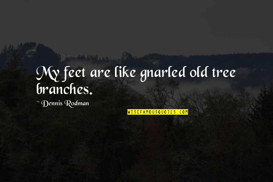 Abjection Kristeva Quotes By Dennis Rodman: My feet are like gnarled old tree branches.