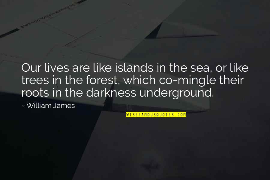Ablation Quotes By William James: Our lives are like islands in the sea,