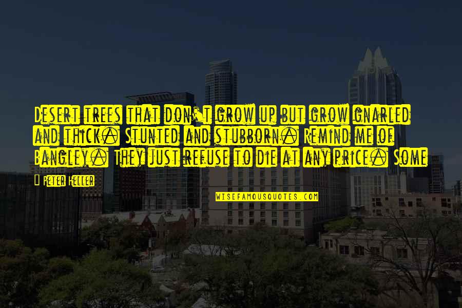 Abnur Tharn Quotes By Peter Heller: Desert trees that don't grow up but grow Abnur Tharn Quotes By Peter Heller: Desert trees that don't grow up but grow