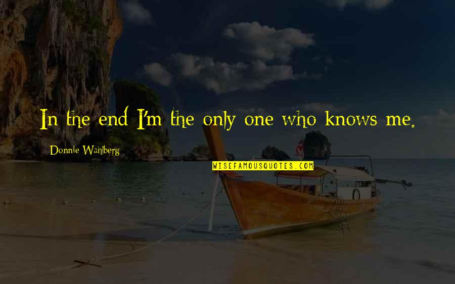 Abodes Quotes By Donnie Wahlberg: In the end I'm the only one who