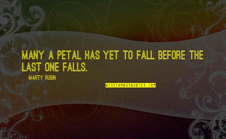 Abolhassan Diba Quotes By Marty Rubin: Many a petal has yet to fall before Abolhassan Diba Quotes By Marty Rubin: Many a petal has yet to fall before
