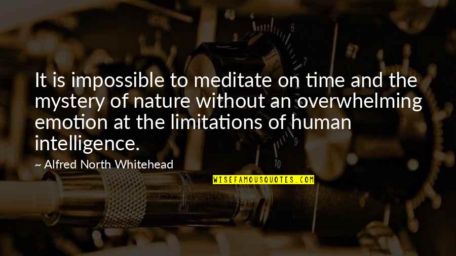 Aboot Quotes By Alfred North Whitehead: It is impossible to meditate on time and