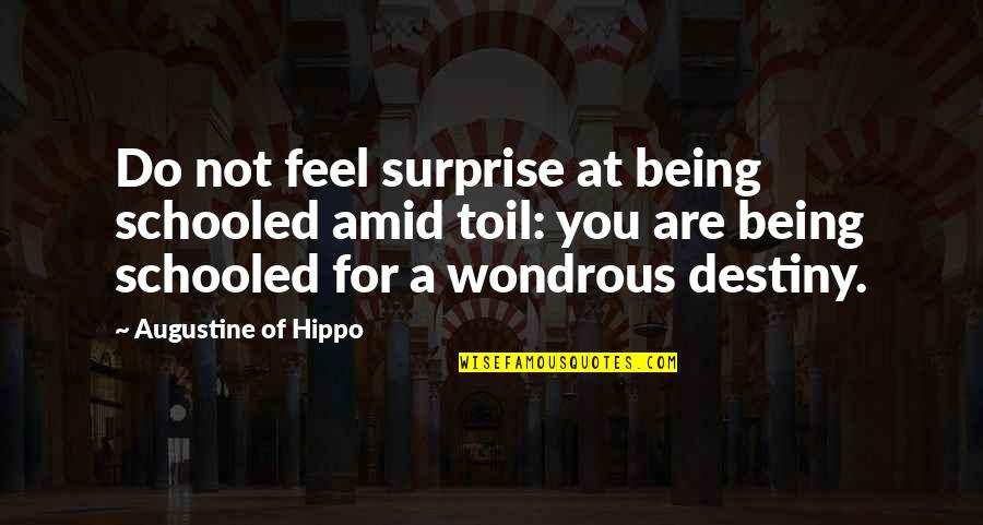 Abordarse Quotes By Augustine Of Hippo: Do not feel surprise at being schooled amid