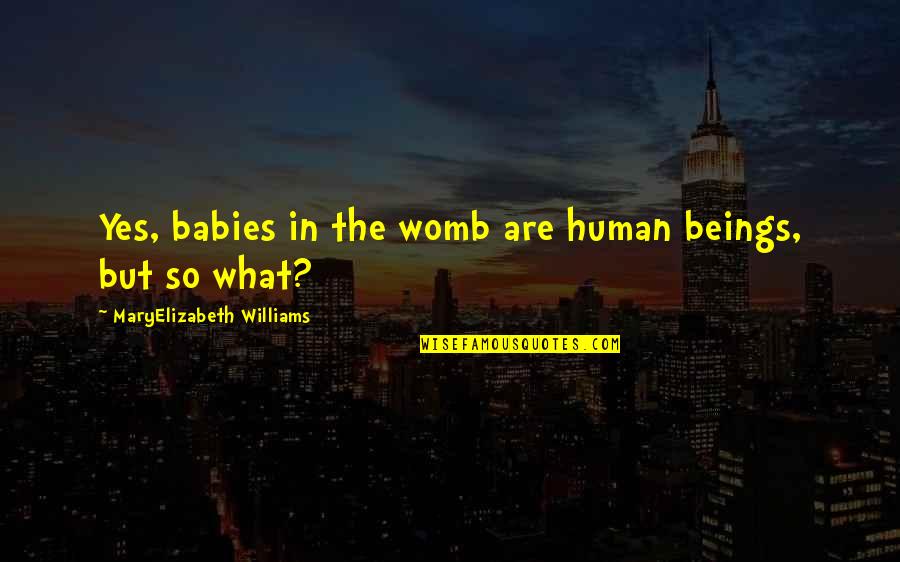 Abortion Quotes By MaryElizabeth Williams: Yes, babies in the womb are human beings,