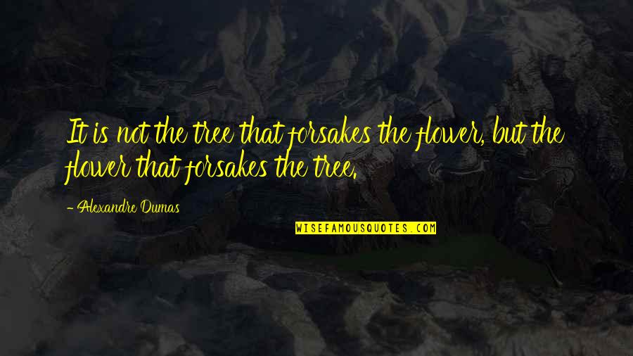 Abounds Define Quotes By Alexandre Dumas: It is not the tree that forsakes the