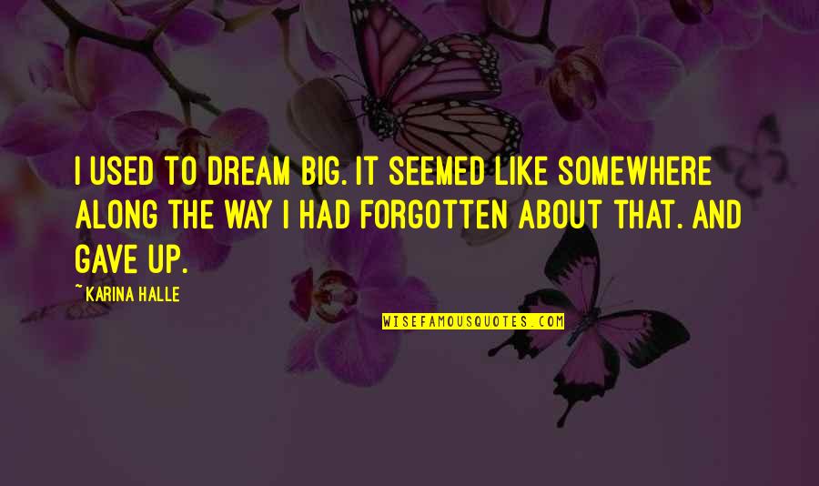 About Dream Quotes By Karina Halle: I used to dream big. It seemed like About Dream Quotes By Karina Halle: I used to dream big. It seemed like