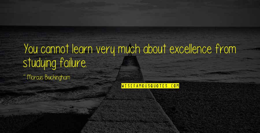 About Failure Quotes By Marcus Buckingham: You cannot learn very much about excellence from