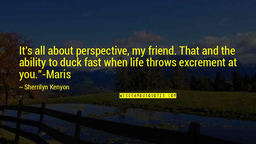 About Friend Quotes By Sherrilyn Kenyon: It's all about perspective, my friend. That and About Friend Quotes By Sherrilyn Kenyon: It's all about perspective, my friend. That and