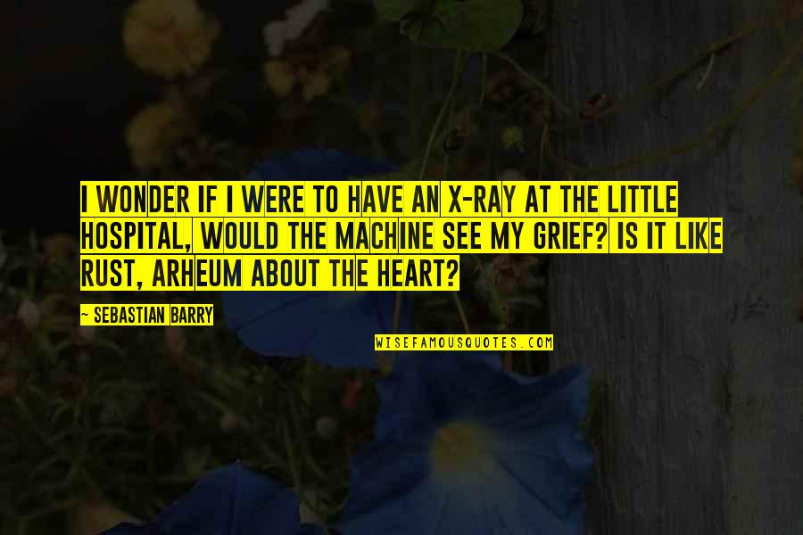 About Grief Quotes By Sebastian Barry: I wonder if I were to have an About Grief Quotes By Sebastian Barry: I wonder if I were to have an