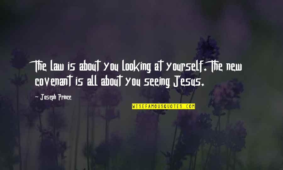 About Jesus Quotes By Joseph Prince: The law is about you looking at yourself.