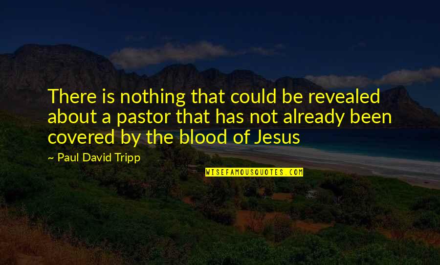 About Jesus Quotes By Paul David Tripp: There is nothing that could be revealed about