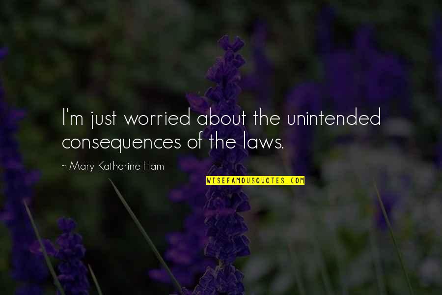 About Law Quotes By Mary Katharine Ham: I'm just worried about the unintended consequences of