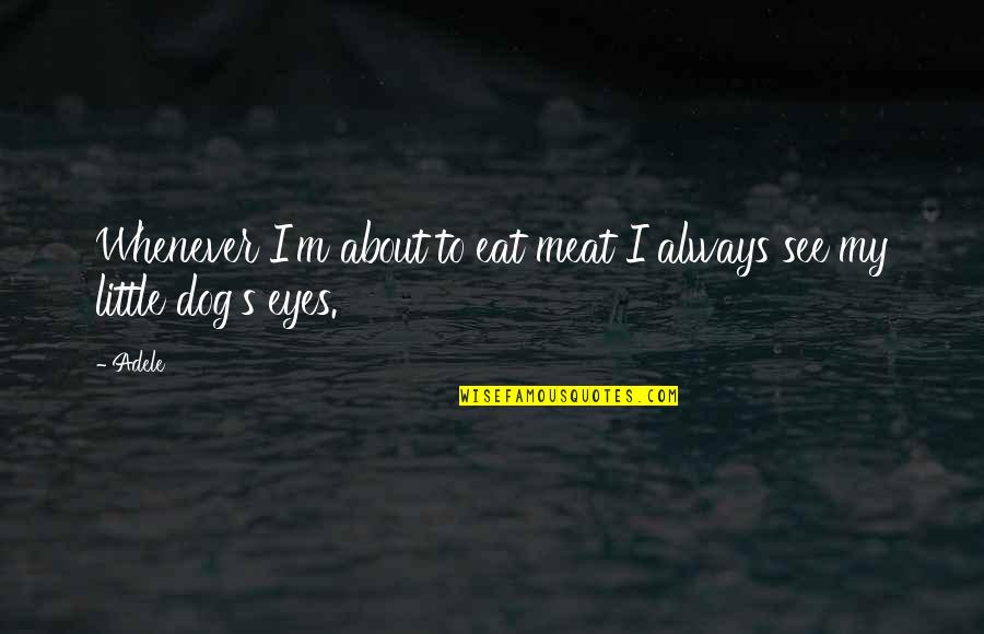 About My Dog Quotes By Adele: Whenever I'm about to eat meat I always