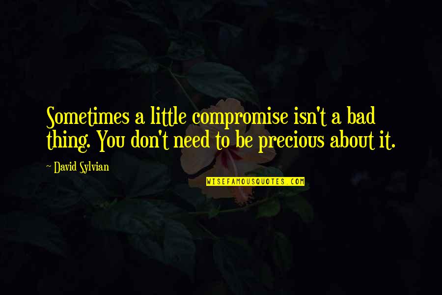 About Precious Quotes By David Sylvian: Sometimes a little compromise isn't a bad thing.