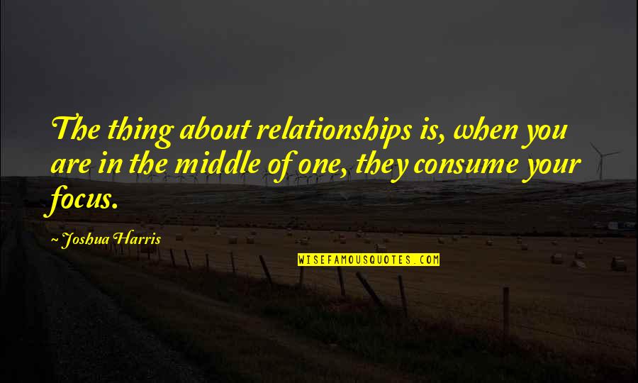 About Relationships Quotes By Joshua Harris: The thing about relationships is, when you are