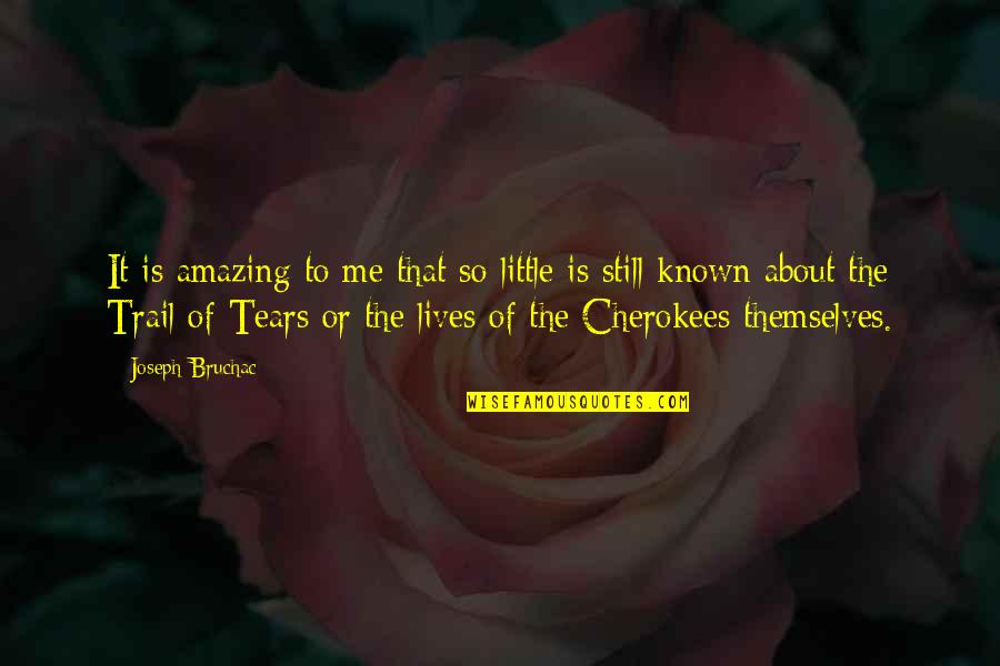 About Tears Quotes By Joseph Bruchac: It is amazing to me that so little About Tears Quotes By Joseph Bruchac: It is amazing to me that so little
