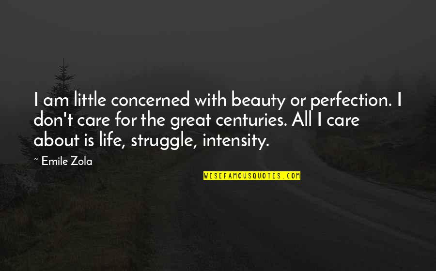 About The Beauty Quotes By Emile Zola: I am little concerned with beauty or perfection.
