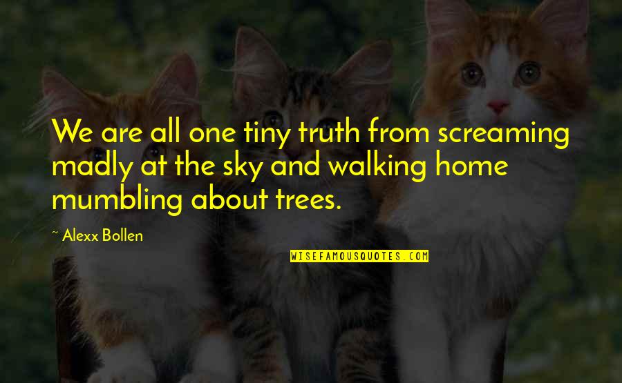 About The Sky Quotes By Alexx Bollen: We are all one tiny truth from screaming