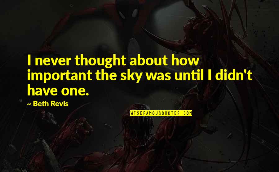 About The Sky Quotes By Beth Revis: I never thought about how important the sky