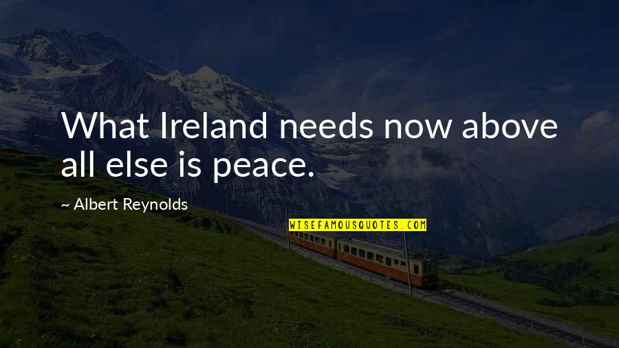 Above All Else Quotes By Albert Reynolds: What Ireland needs now above all else is