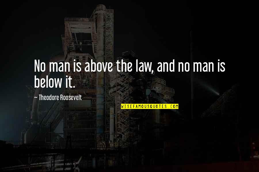 Above And Below Quotes By Theodore Roosevelt: No man is above the law, and no
