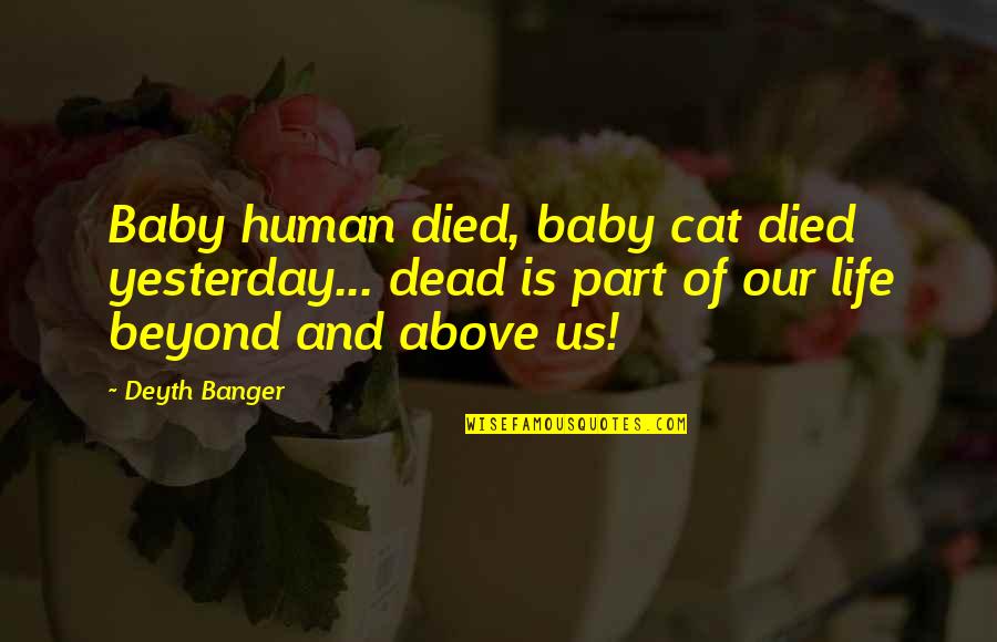 Above And Beyond Quotes By Deyth Banger: Baby human died, baby cat died yesterday... dead