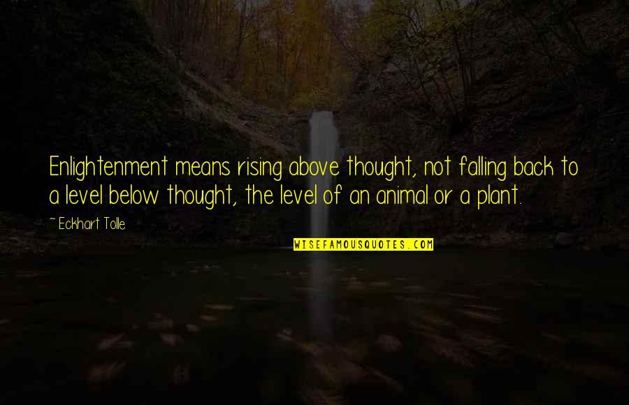 Above Below Quotes By Eckhart Tolle: Enlightenment means rising above thought, not falling back