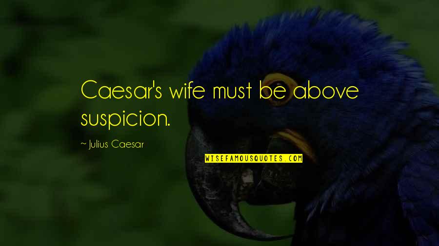 Above Suspicion Quotes By Julius Caesar: Caesar's wife must be above suspicion.