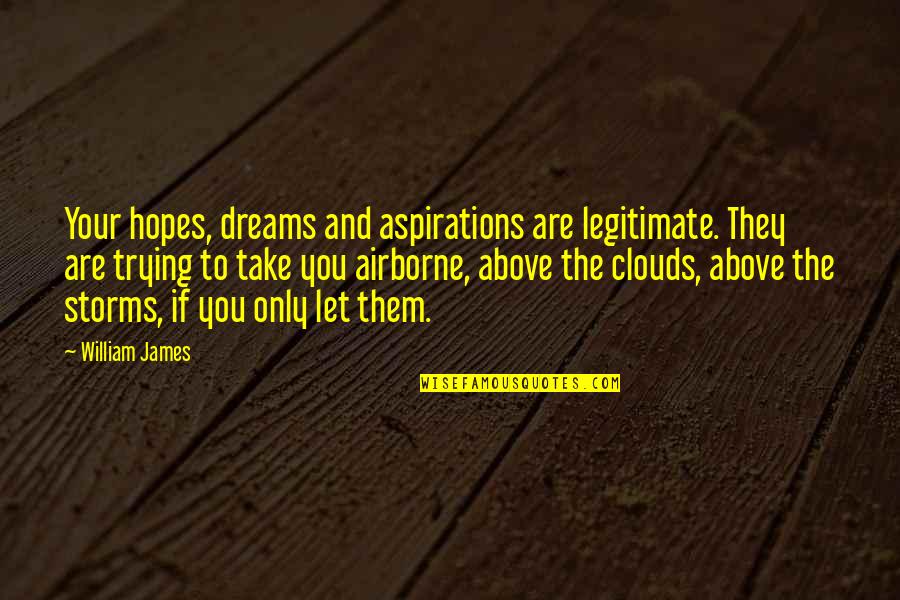 Above The Clouds Quotes By William James: Your hopes, dreams and aspirations are legitimate. They
