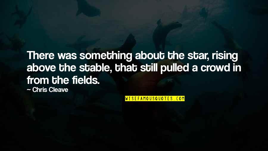 Above The Crowd Quotes By Chris Cleave: There was something about the star, rising above