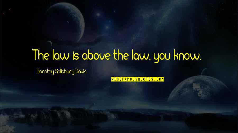 Above The Law Quotes By Dorothy Salisbury Davis: The law is above the law, you know.