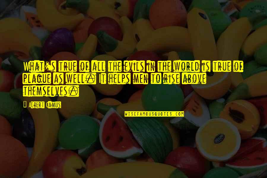 Above The World Quotes By Albert Camus: What's true of all the evils in the Above The World Quotes By Albert Camus: What's true of all the evils in the