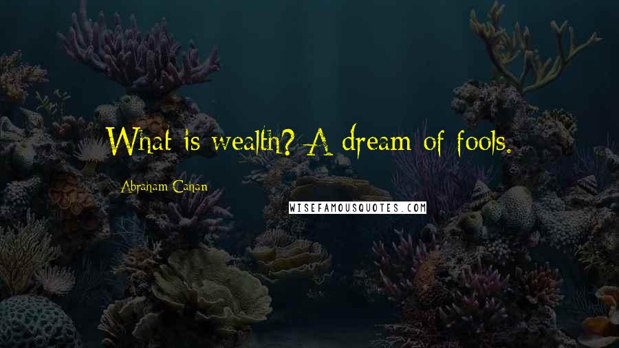 Abraham Cahan quotes: What is wealth? A dream of fools.