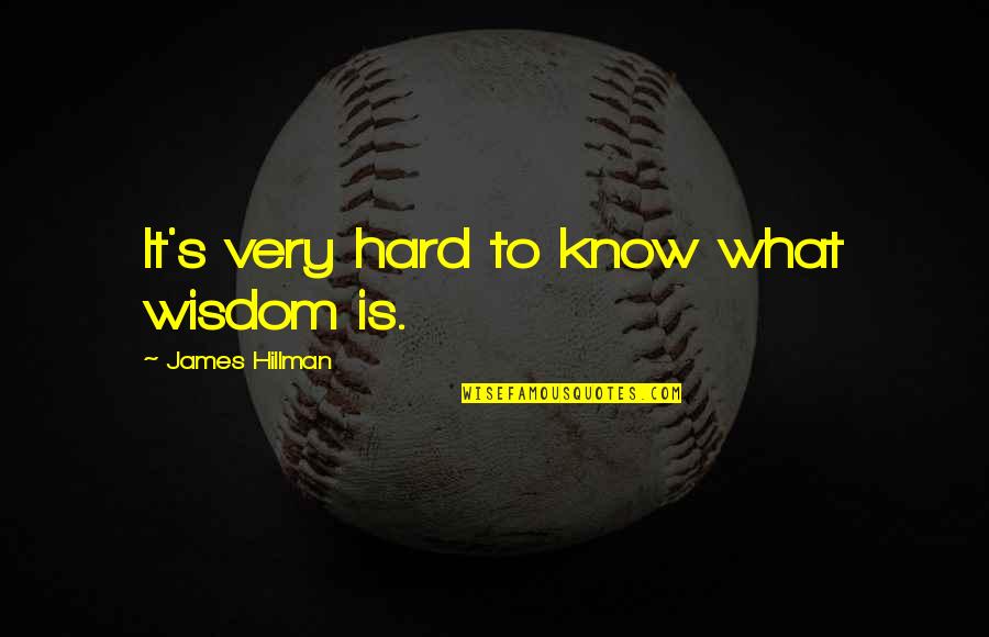 Abraham Laing Quotes By James Hillman: It's very hard to know what wisdom is.
