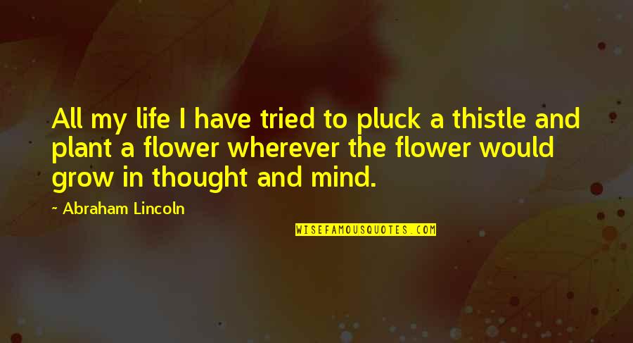 Abraham Lincoln Life Quotes By Abraham Lincoln: All my life I have tried to pluck