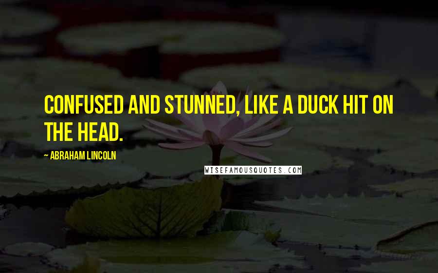 Abraham Lincoln quotes: Confused and Stunned, like a duck hit on the head.