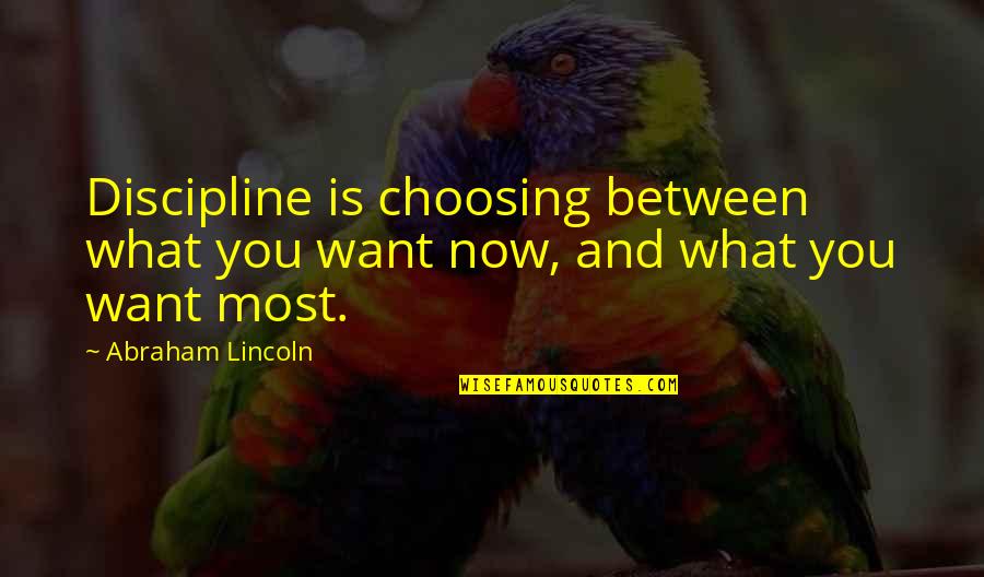 Abraham Lincoln Quotes By Abraham Lincoln: Discipline is choosing between what you want now,