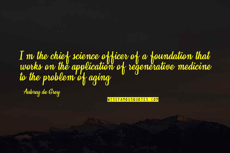 Abraham Lincoln Union Quotes By Aubrey De Grey: I'm the chief science officer of a foundation Abraham Lincoln Union Quotes By Aubrey De Grey: I'm the chief science officer of a foundation
