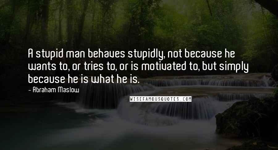 Abraham Maslow quotes: A stupid man behaves stupidly, not because he wants to, or tries to, or is motivated to, but simply because he is what he is.
