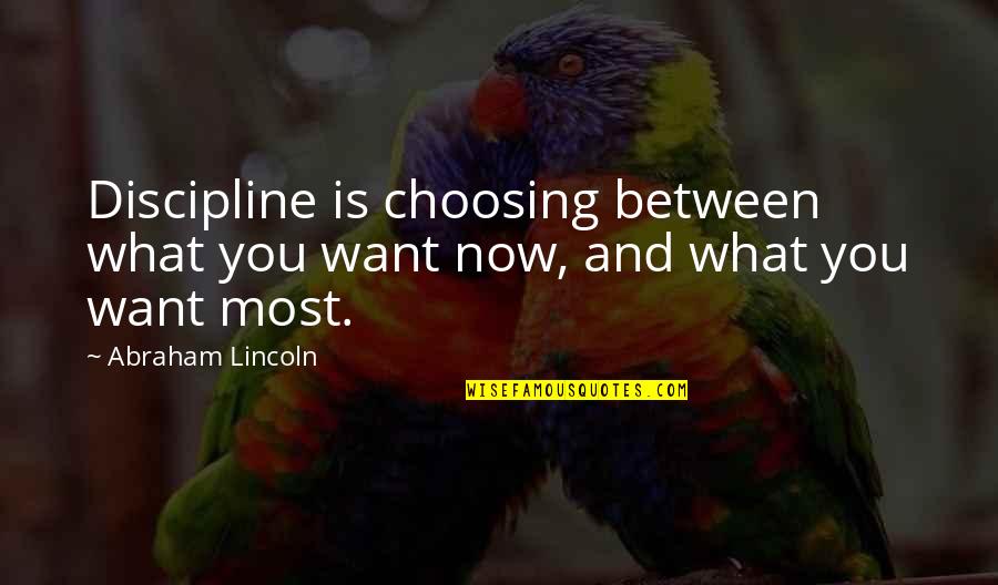 Abraham Quotes By Abraham Lincoln: Discipline is choosing between what you want now,