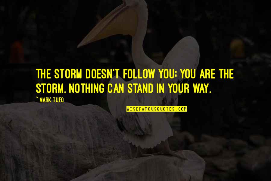 Abrahamsen Law Quotes By Mark Tufo: The storm doesn't follow you; you are the