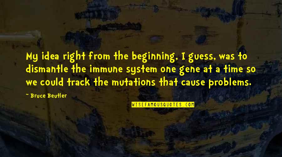 Abrahamsen Schnee Quotes By Bruce Beutler: My idea right from the beginning, I guess,